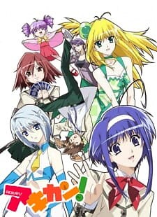 Background Cover