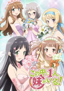 Capa de Kono Naka ni Hitori, Imouto ga Iru!