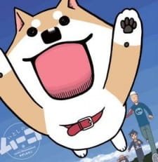 Capa de Itoshi no Muco OVA