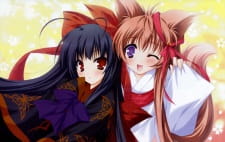 Imagen de Tayutama: Kiss on My Deity