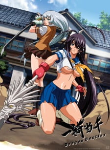 Imagen de Ikkitousen: Dragon Destiny