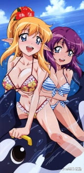 Imagen de Zero no Tsukaima: Princesses no Rondo - Yuuwaku no Sunahama
