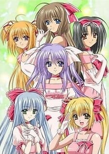 Background Cover