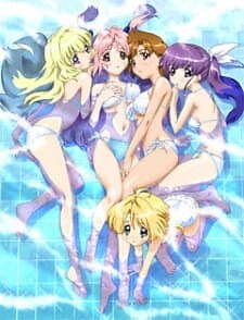 Background Cover
