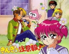 Imagen de Kingyo Chuuihou!