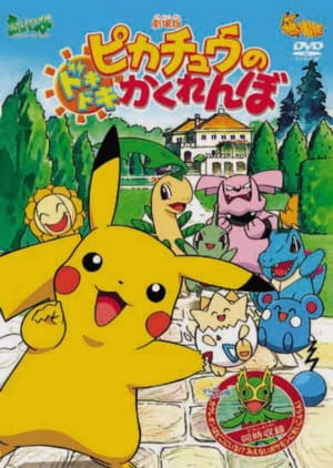 Pokemon: Pikachu's Pikaboo, Pokemon: Pikachu's Pikaboo,  Pocket Monsters: Pikachu no Dokidoki Kakurenbo,  ピカチュウのドキドキかくれんぼ
