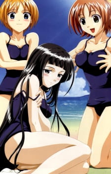 Imagen de Lime-iro Senkitan