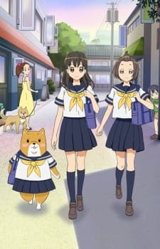 anime_Shiba Inuko-san