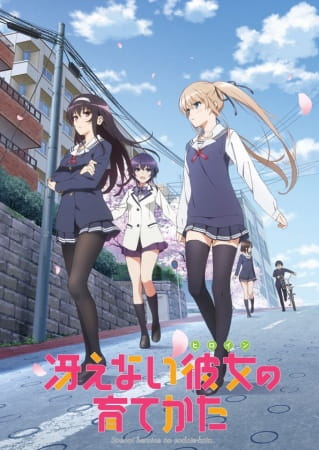 Saenai Heroine no Sodatekata Anime Cover