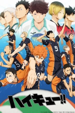 Haikyuu!! Episode 25