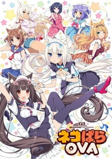 Capa de Nekopara OVA