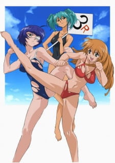 Imagen de Ikkitousen