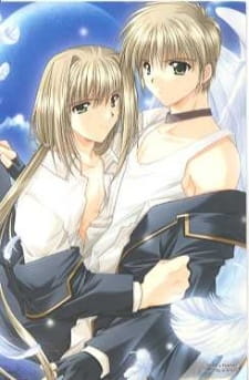 Imagen de Angel's Feather