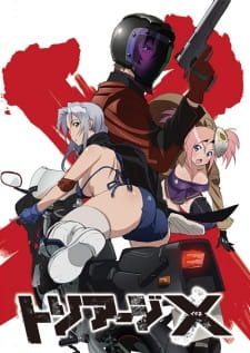 Imagen de Triage X