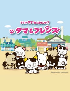 Capa de Tama & Friends: Uchi no Tama Shirimasen ka?