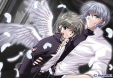 Imagen de Angel's Feather