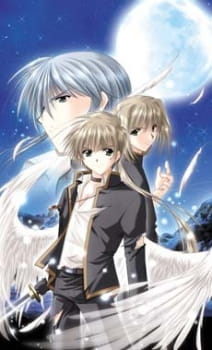 Imagen de Angel's Feather