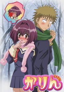 Capa de Karin
