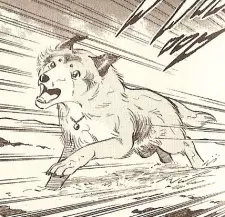 Lassie