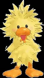 Witzy Image