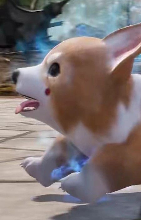 Imagem de Hapi