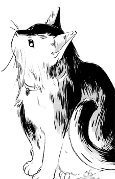 capa de mangá de Ichigawa, Ichika