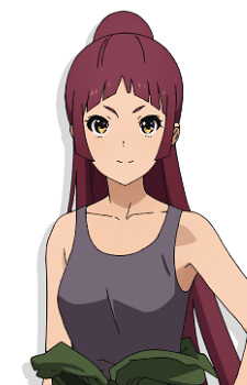 Akira Mishima,