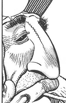 Nose