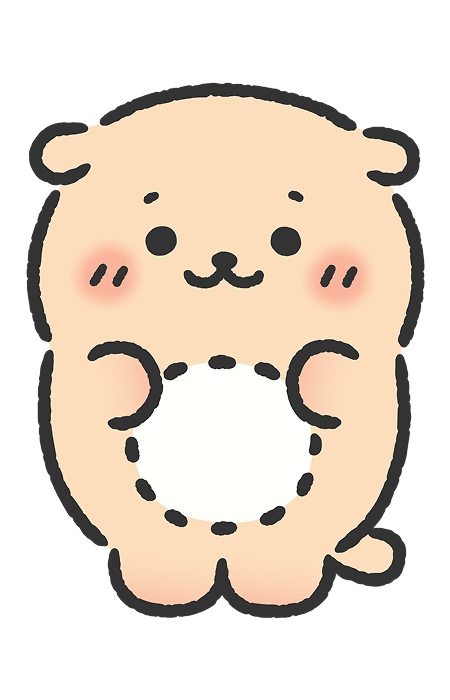 Rakkoinu