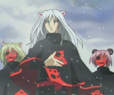 Knights Kinka