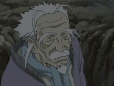 Wolf Old