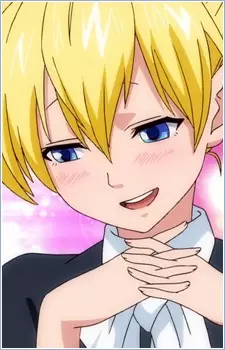 Stella Image
