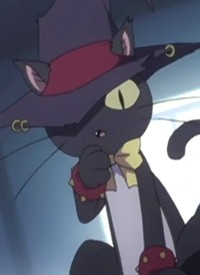Cat Black