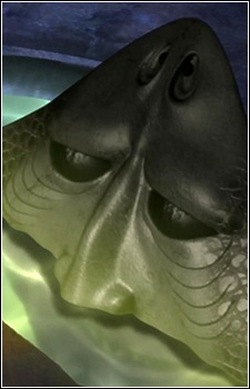 Face Fish Human