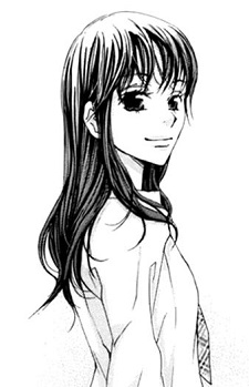 capa de mangá de Erica