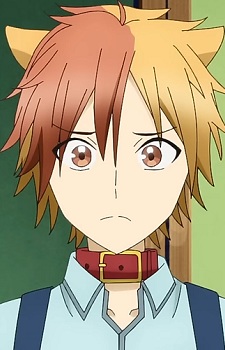 Akisame, Tamao Picture