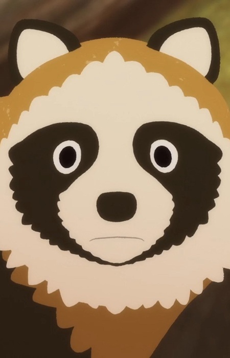 Imagem de Dog Raccoon