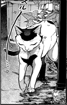 capa de mangá de Akemi