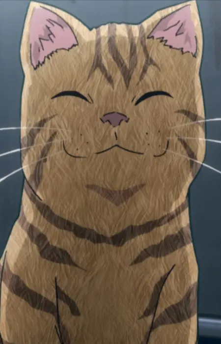 Monster Cat Image