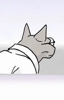 Cat Professor