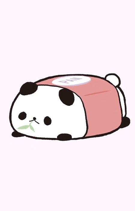 Keshipan