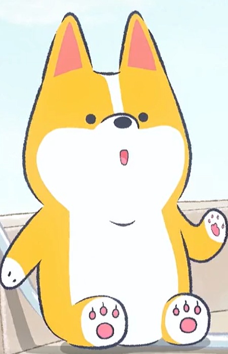 Corgi