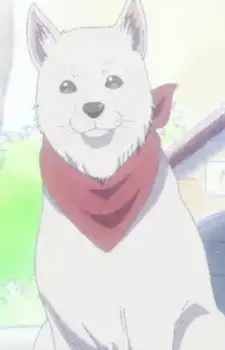 Nachi