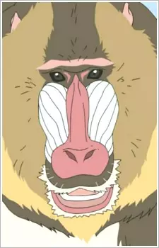 Mandrill image