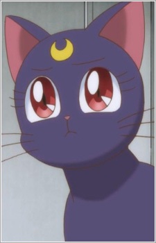 Sailor Moon (+ Remake 2014 - Crystal) 251831