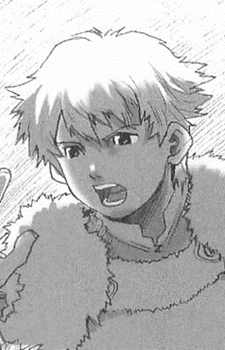 Nibel, Felt