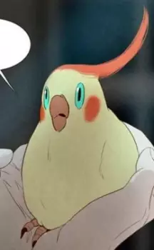 Roy
