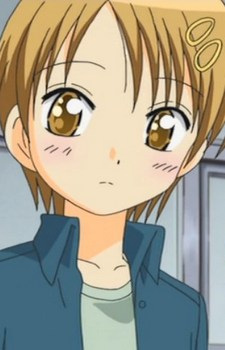 Yae Yamabuki,