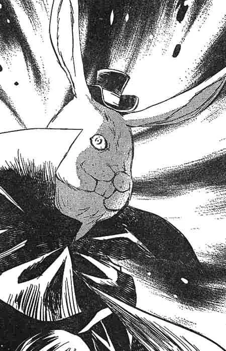 Rabbit-Head