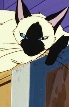 Imagem de Cat Siamese